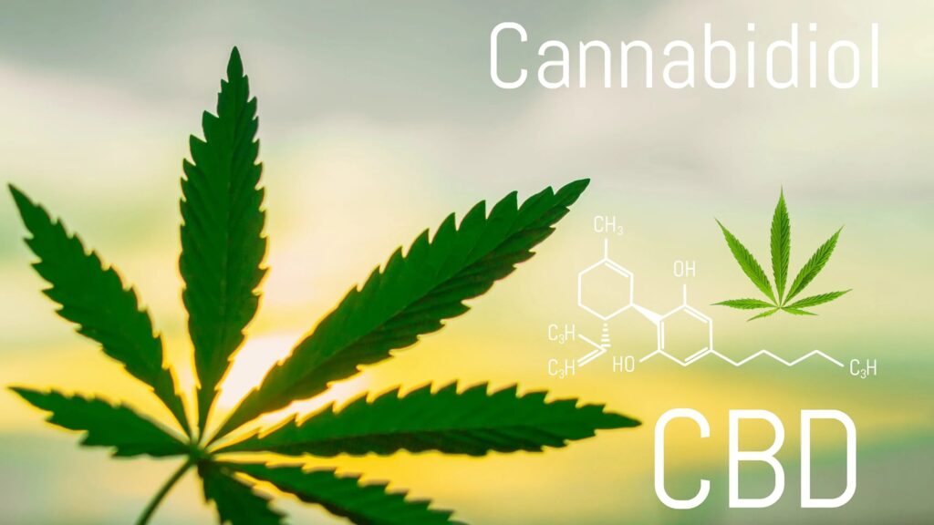 picture of Cannabidiol or CBD