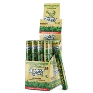 Cyclones CONE - Sugar Cane