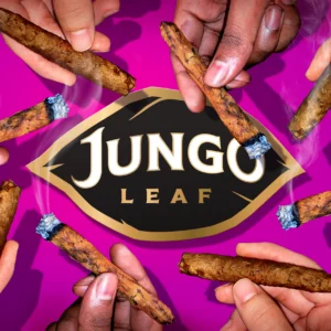 JUNGO LEAF CUTS
