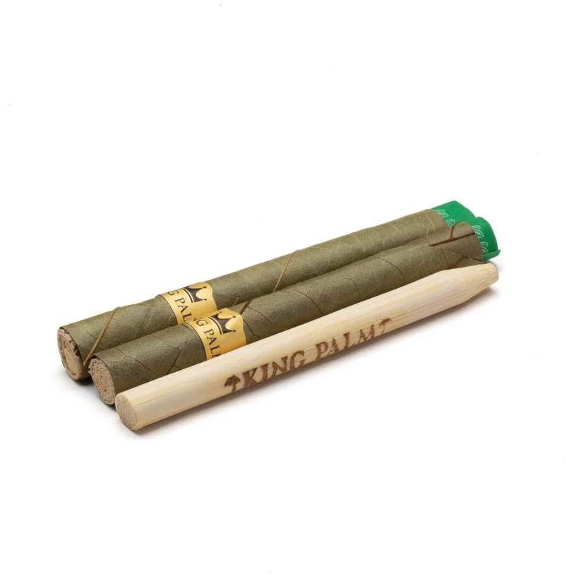 King Palm Mini