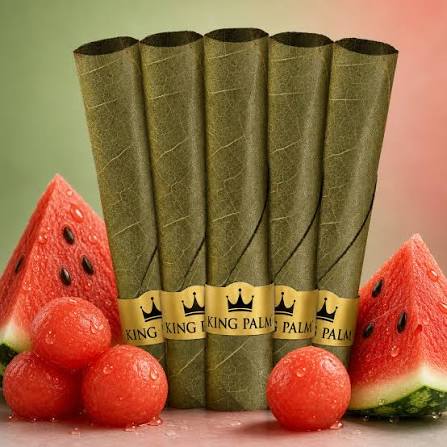King Palm ROLL - Watermelon Wave