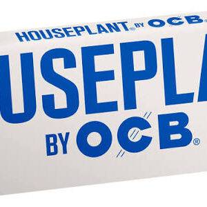 Houseplant OCB Classic  1.25