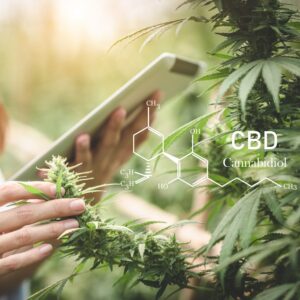 Hemp-Derived Cannabinoids