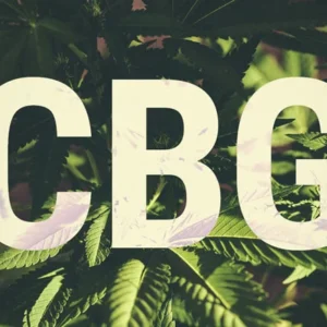 CBG