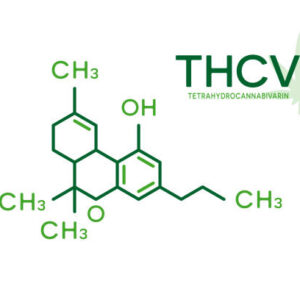 THC-V