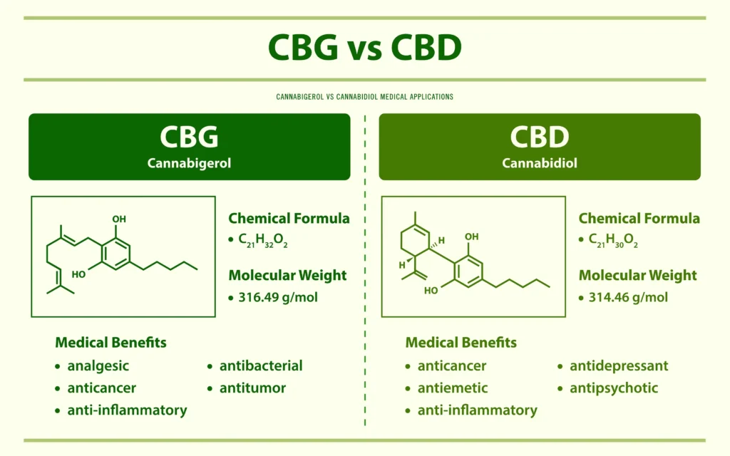cbd vs cbg scaled