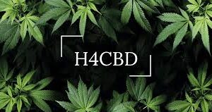 H4-CBD