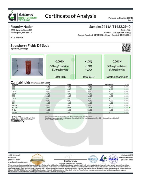 Foundry Nation | Hemp Soda 5mg THC - Strawberry Fields - Image 2