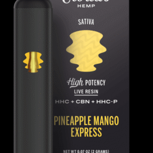 Coastal Clouds | HHC + CBN + HHC-P 2g disposables - Pineapple Mango Express