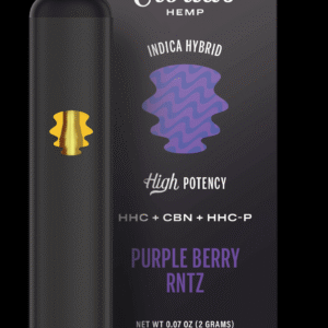 Coastal Clouds | HHC + CBN + HHC-P 2g disposables - Purple Berry RNTZ