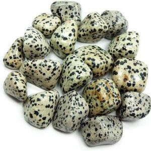 Dalmatian Jasper Crystal